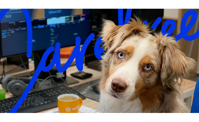 Image showcasing Pneumonia in Dogs: Symptoms, Treatment, Recovery
